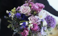 Fleuriste à Plan de Cuques 13380 Multifleurs